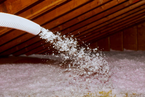 Best Specialized Insulation Services in Cotter, AR