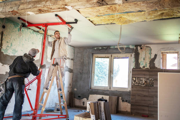 Best Cellulose Insulation in Cotter, AR