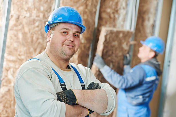 Best Insulation Maintenance and Repair in Cotter, AR