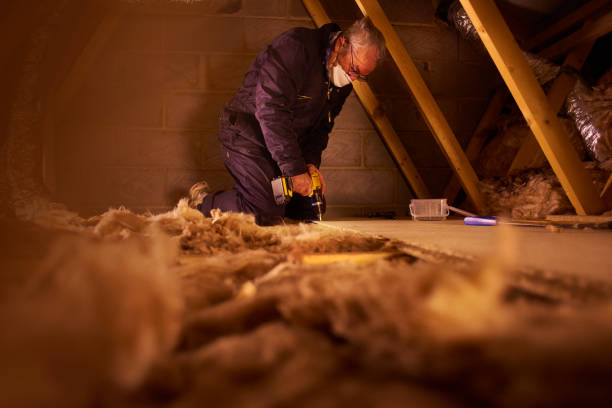 Best Eco-Friendly Insulation in Cotter, AR